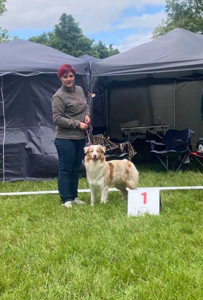 Vaiana l exploratrice De La Légende De Lorelei - 1ere excellent CACS-J