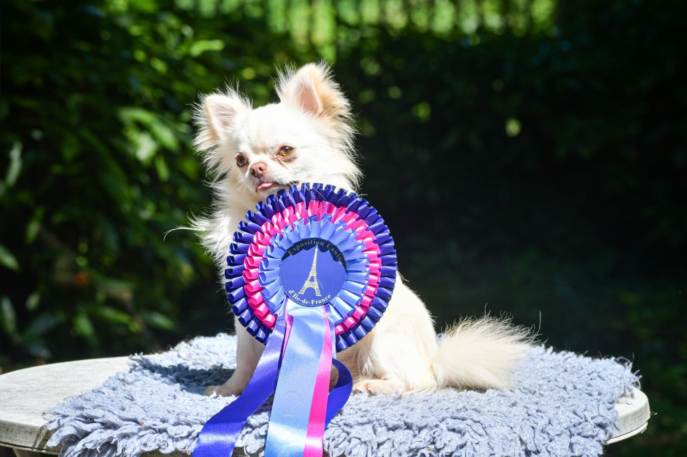 Publication : des Emeraudes de Nahusha