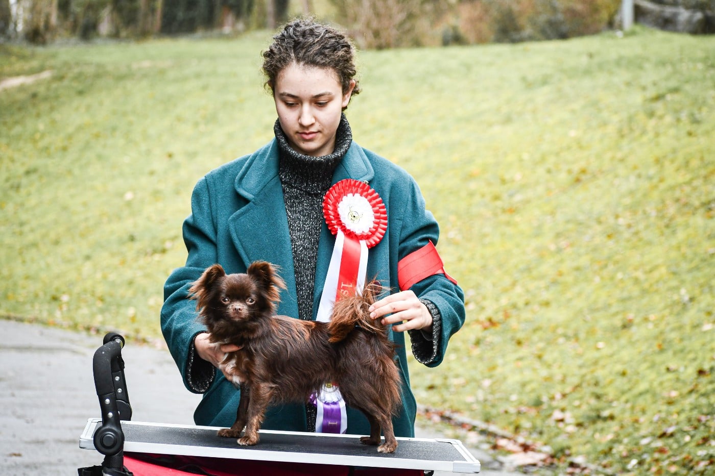 Valezïa poetica des Emeraudes de Nahusha