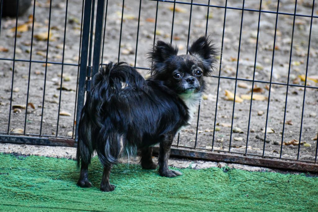 Uyanah Des Minis Bombes