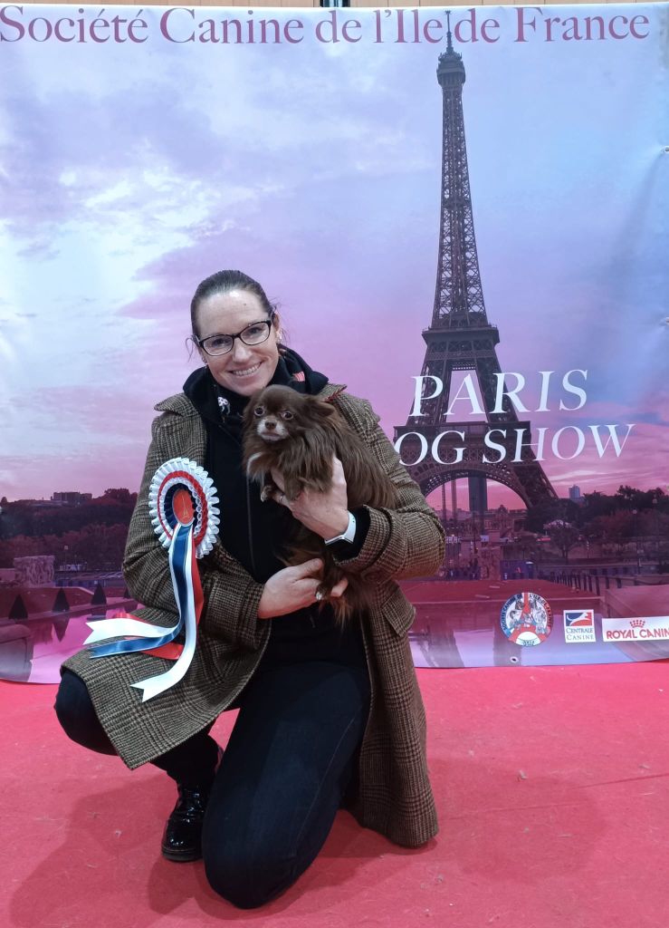 Prinz choco des Ptits Loulous D'emilie - 3ème Très Bon