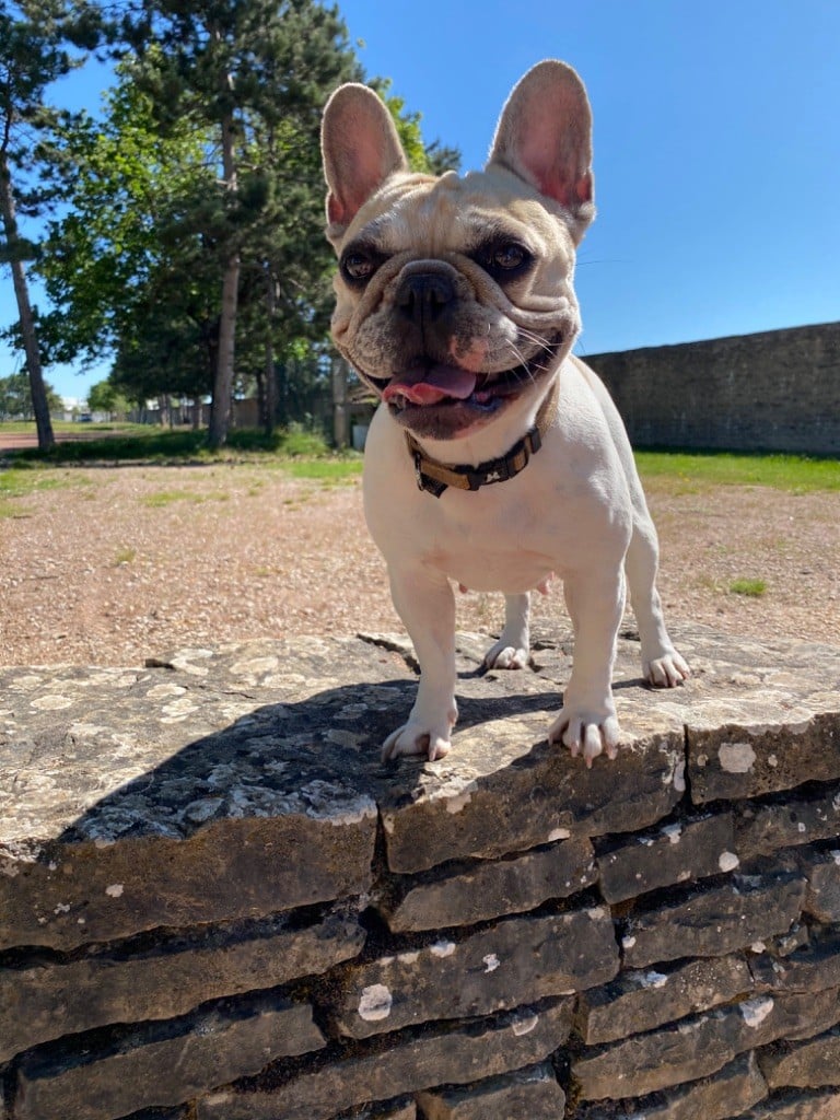 Lizzy Du Parc De Beaulieu
