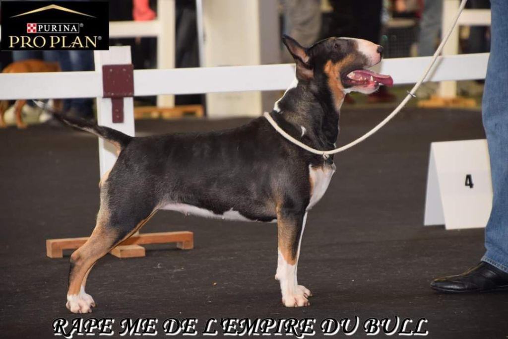 Rape me de l'Empire du Bull - 1er Excellent RCACS