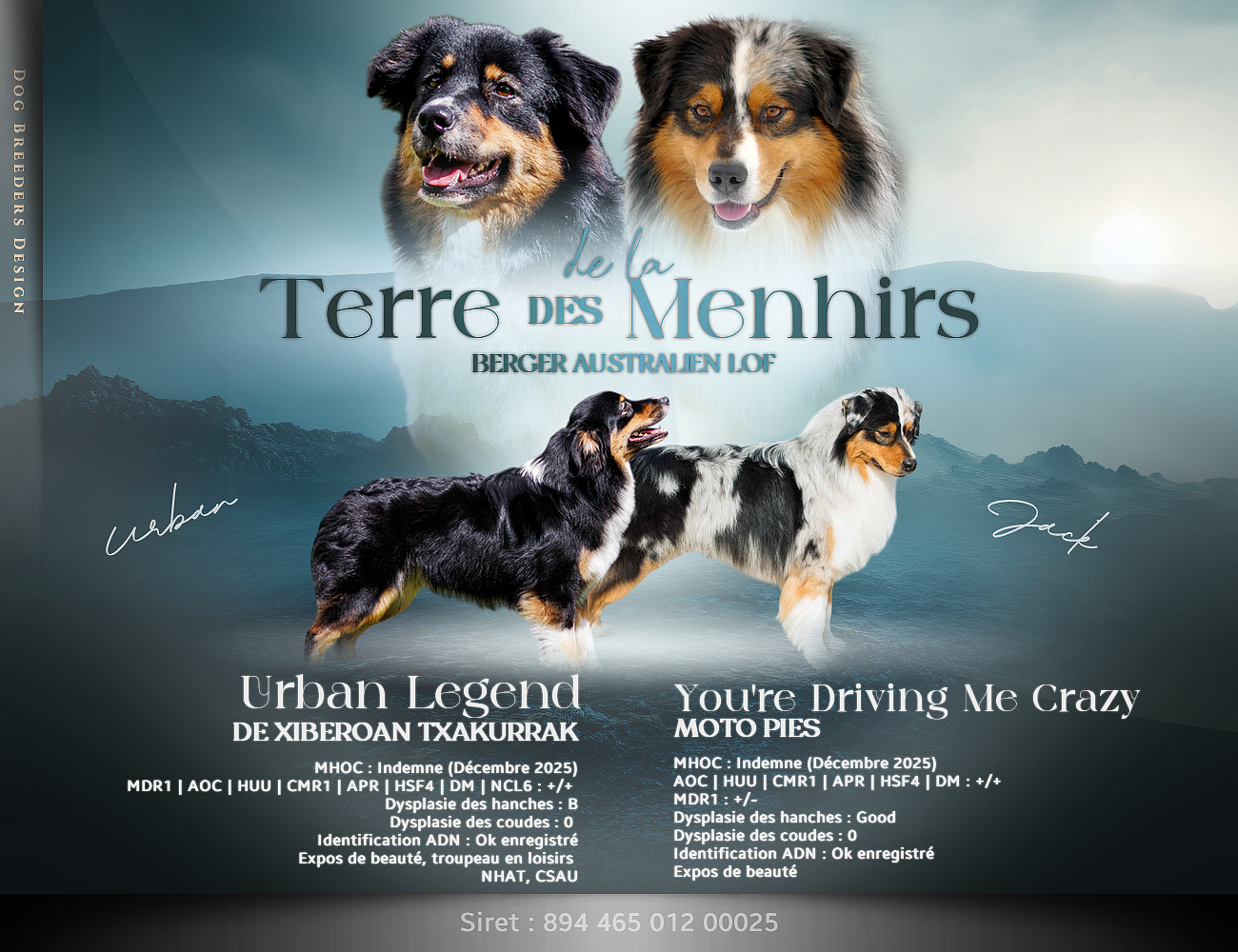 Berger Australien - De La Terre Des Menhirs