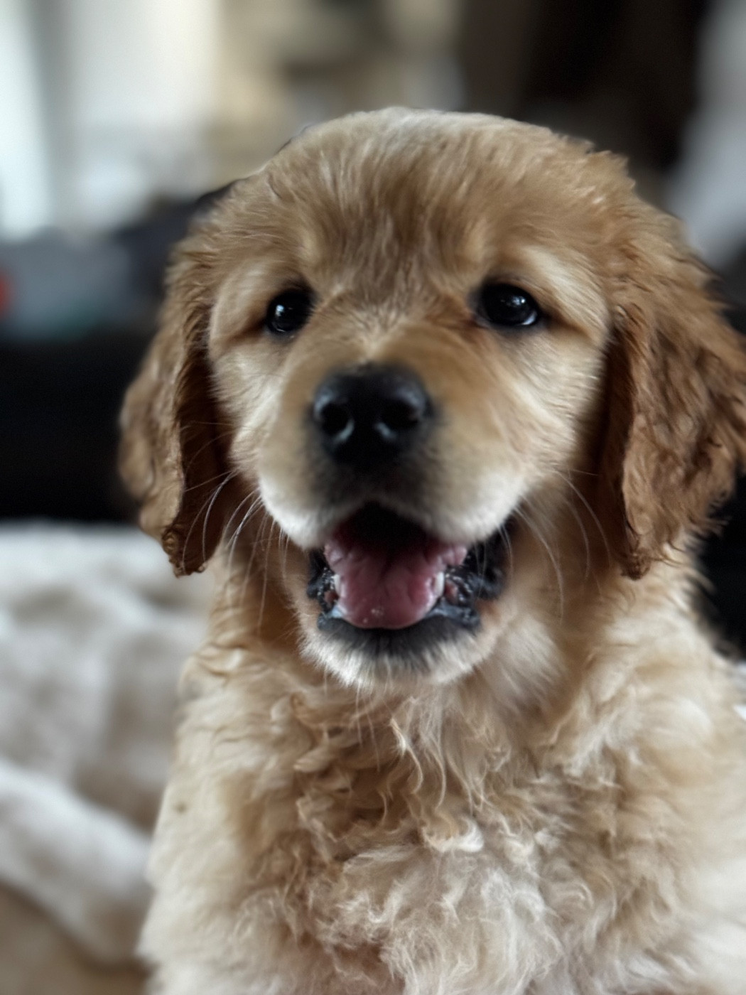 Publication : De L'Appel Du Large