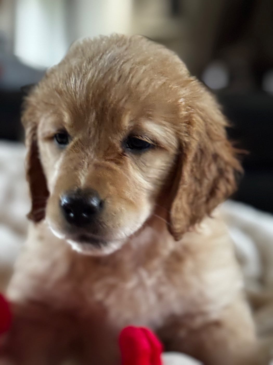 Publication : De L'Appel Du Large