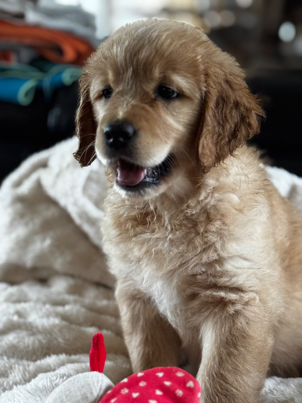 Publication : De L'Appel Du Large