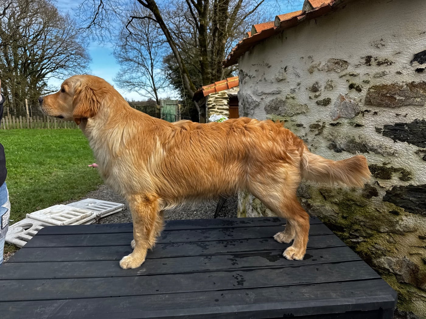 Publication : De L'Appel Du Large