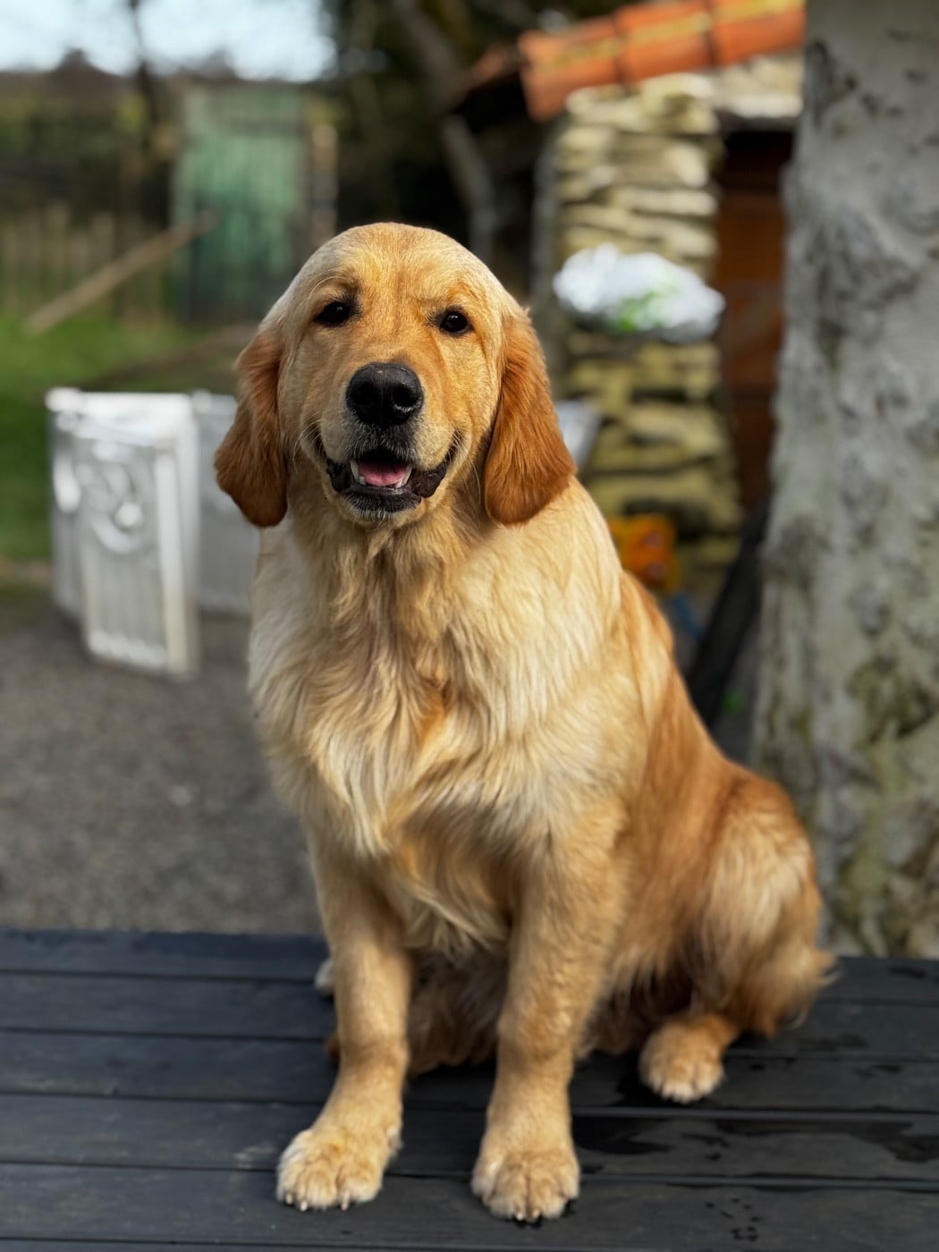 Publication : De L'Appel Du Large