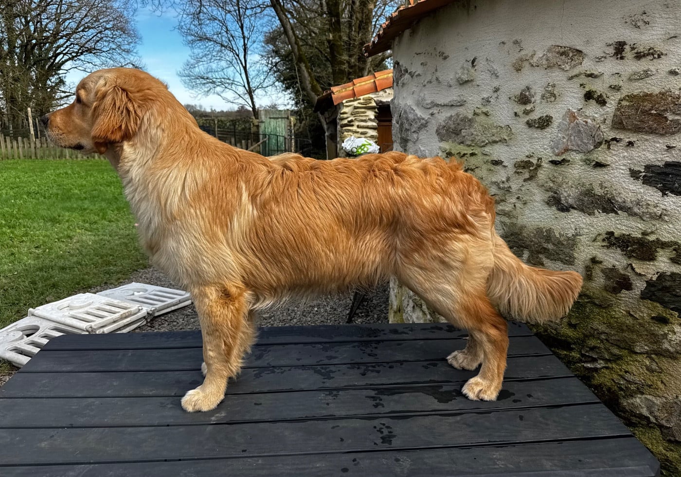 Publication : De L'Appel Du Large