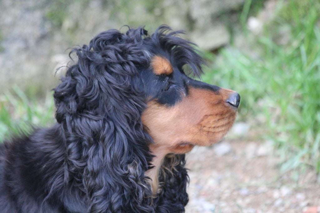 Publication : Du Royaume D'Unik