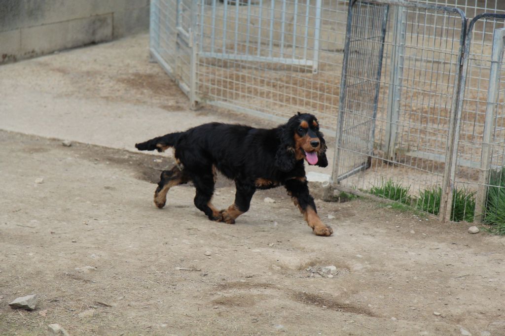 Publication : Du Royaume D'Unik