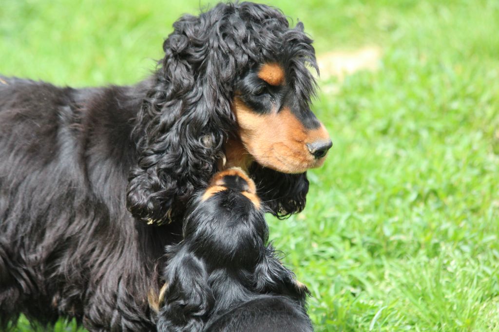 Publication : Du Royaume D'Unik