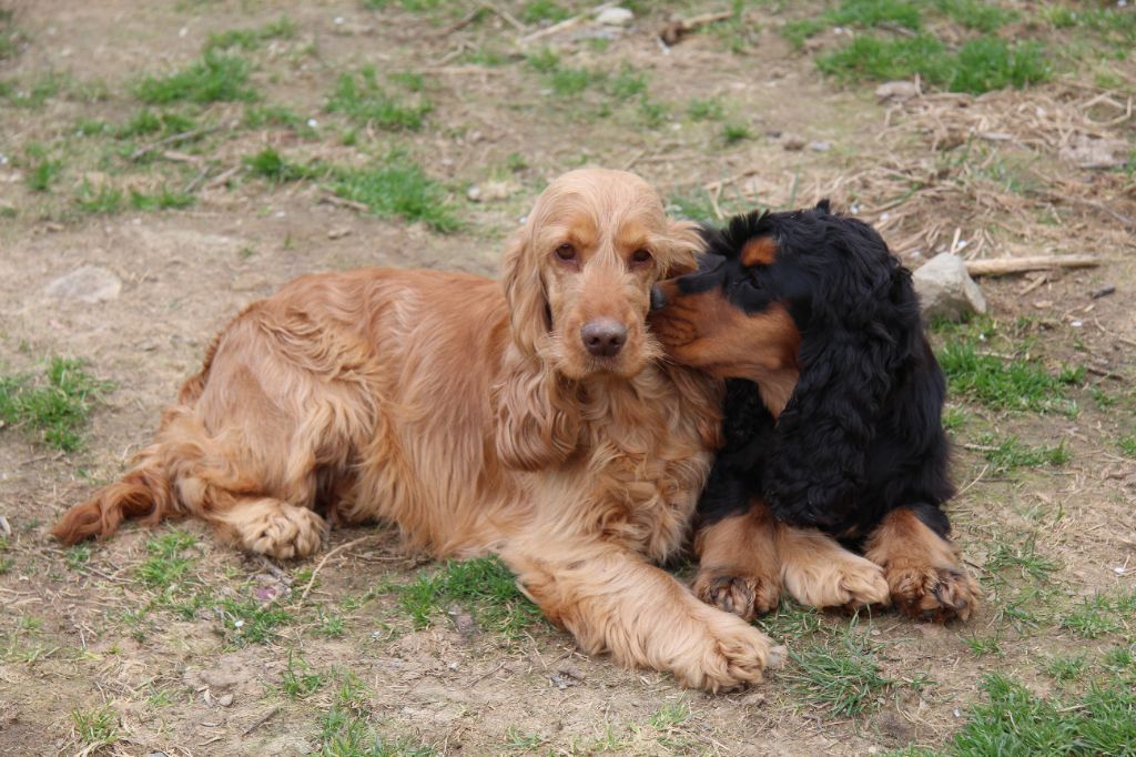 Publication : Du Royaume D'Unik