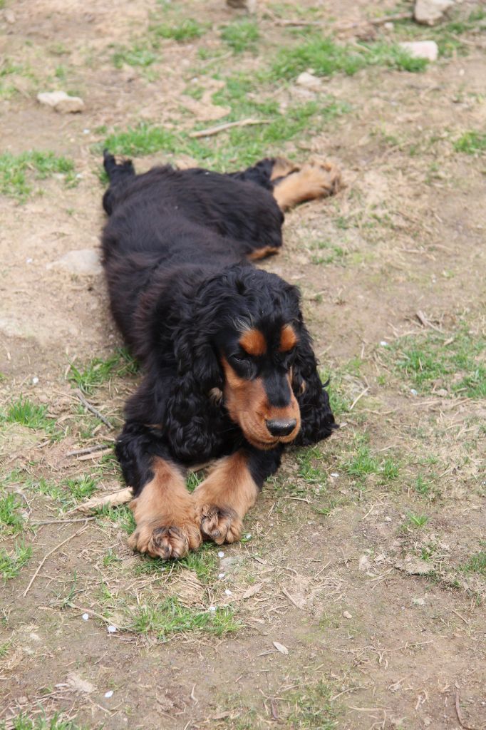 Publication : Du Royaume D'Unik