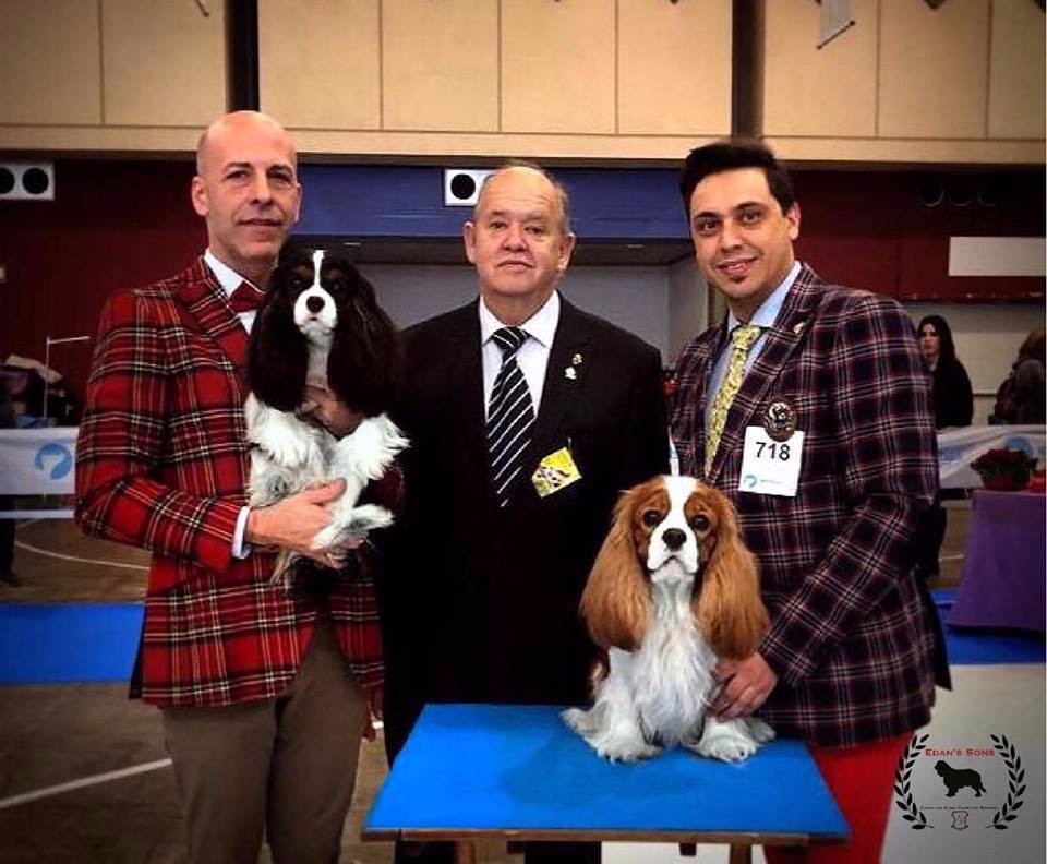 CH. Ch milcham margarita at Edan´s Sons - Exc. 1º CAC CACIB X2 BOS BOB