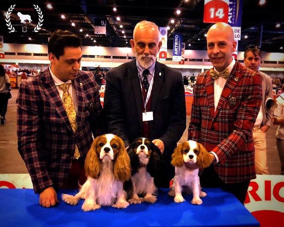 CH. Ch milcham margarita at Edan´s Sons - RCAC RCACIB