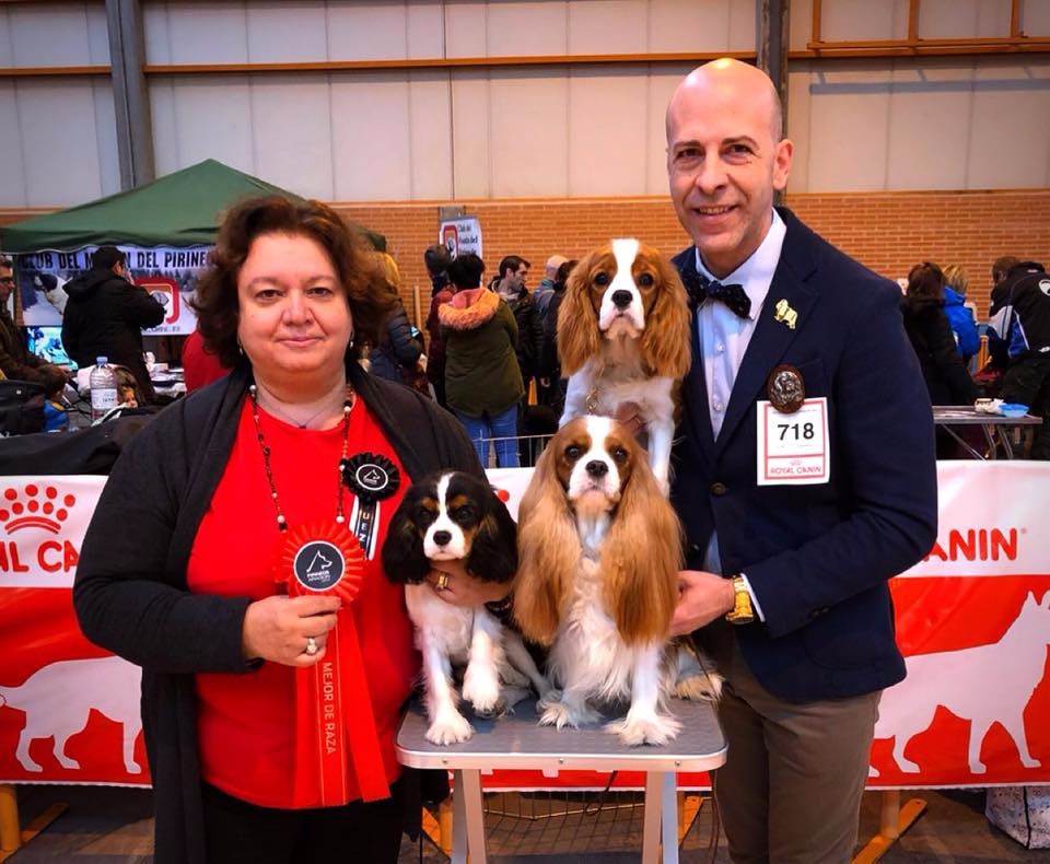 CH. Ch milcham margarita at Edan´s Sons - VG 1º BOB BABY X2 AND BABY PIRINEOS ARAGON WINNER 18