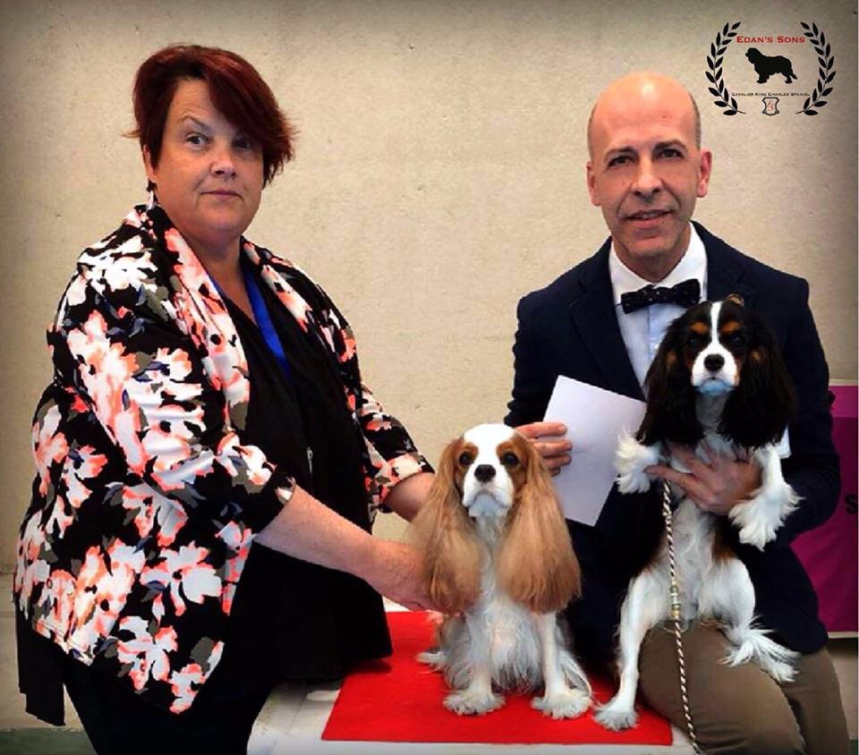 CH. Ch milcham margarita at Edan´s Sons - EXC.1º CCJ BOB JUNIOR BICH X2