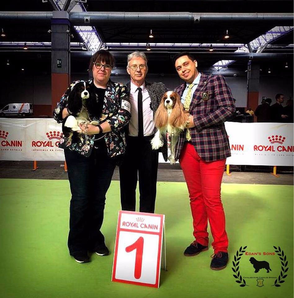 CH. Ch milcham margarita at Edan´s Sons - Exc. 1º CAC RCACIB EXC. 2 RCAC