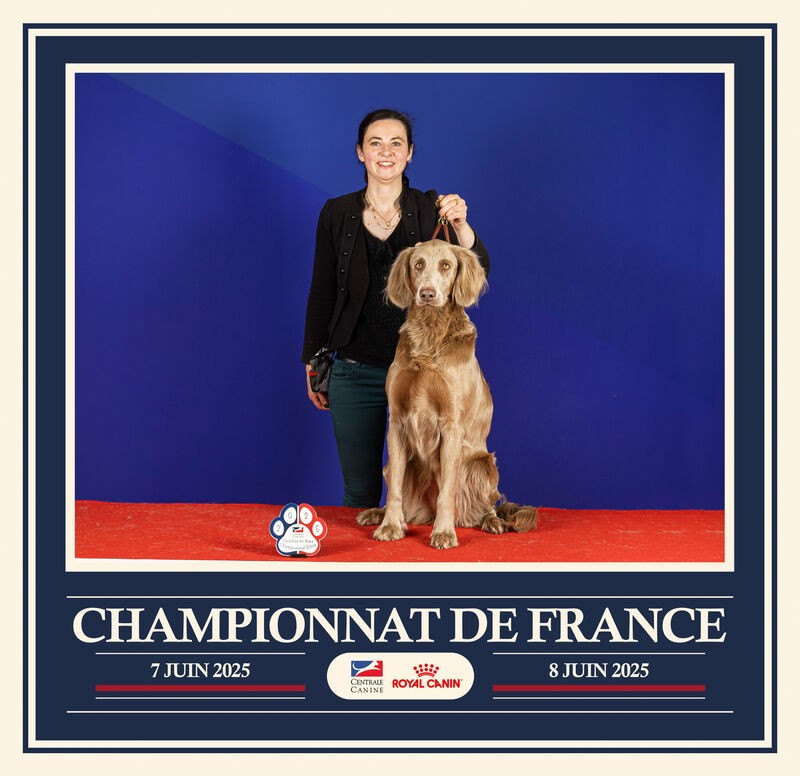 CH. Reva De L'Ambre d'Espoir Des Hdf