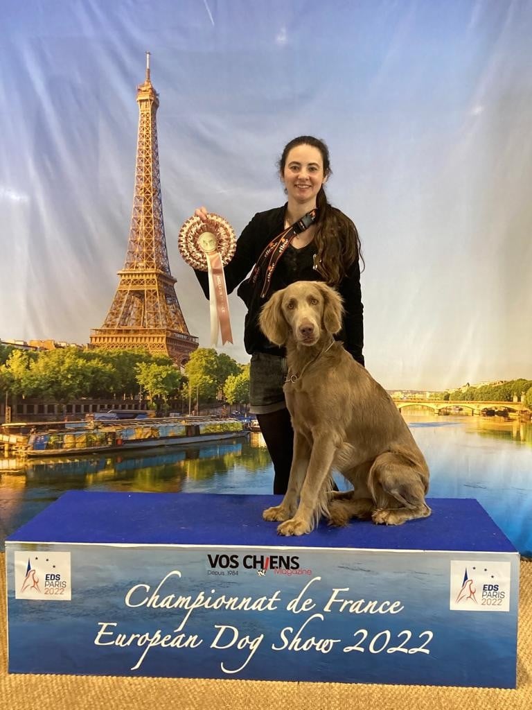 CH. Reva De L'Ambre d'Espoir Des Hdf