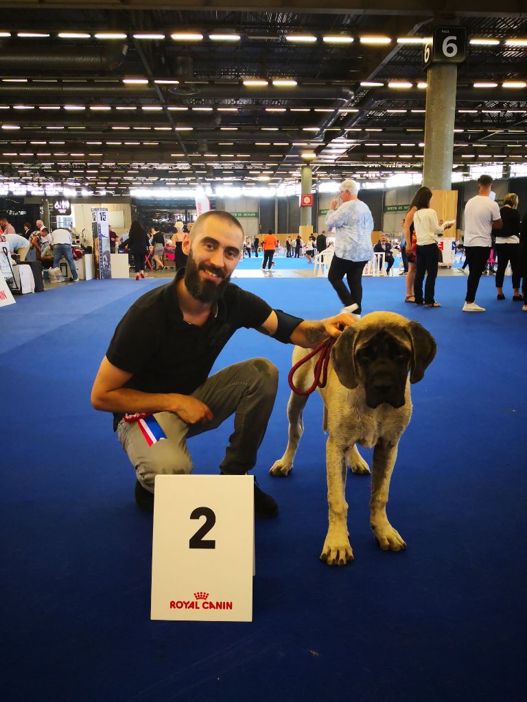 Primavera del fracasso - 2 ème Très Prometteur