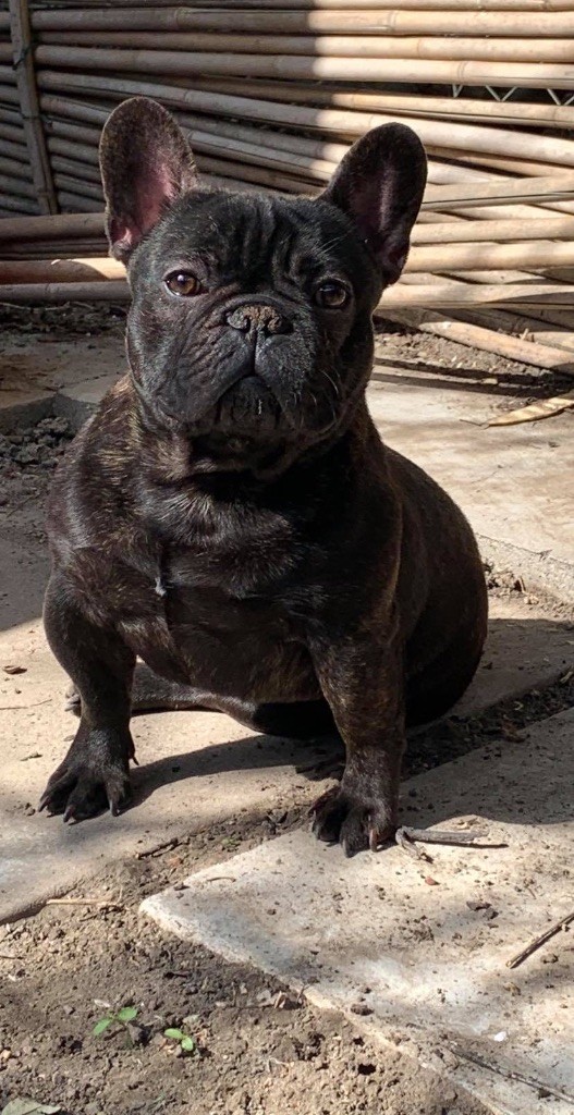 Publication : Sweet Heart Secret's