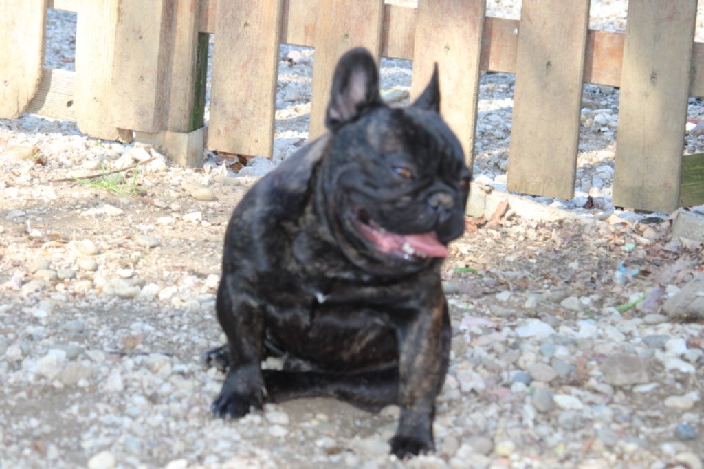 Publication : Sweet Heart Secret's