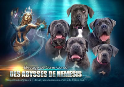 des Abysses de Némésis