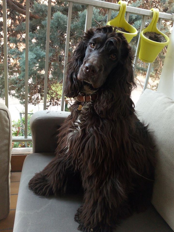 Publication : (Sans Affixe)