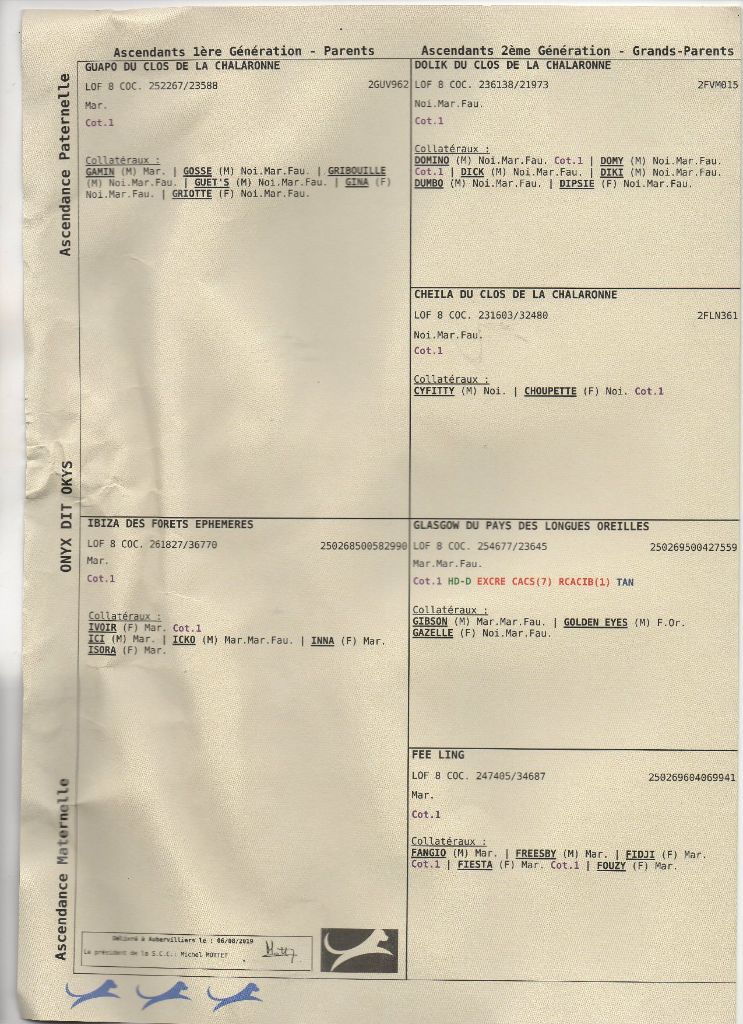 Publication : (Sans Affixe)