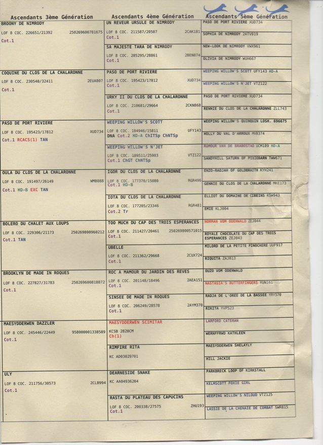 Publication : (Sans Affixe)