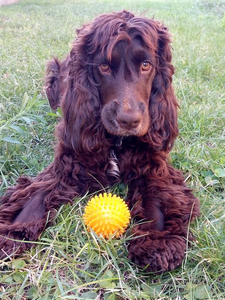 Publication : (Sans Affixe)