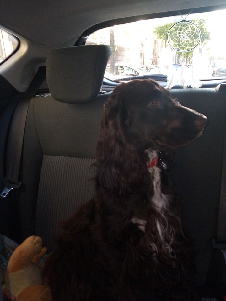 Publication : (Sans Affixe)