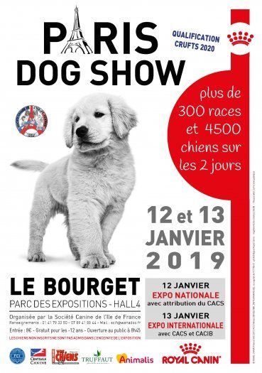 Nyna du Haras de la Vergne - 3 TB CLASSE JEUNE-SPECIALE DE RACE