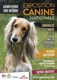 Nyna du Haras de la Vergne - 1er TB CLASSE JEUNE