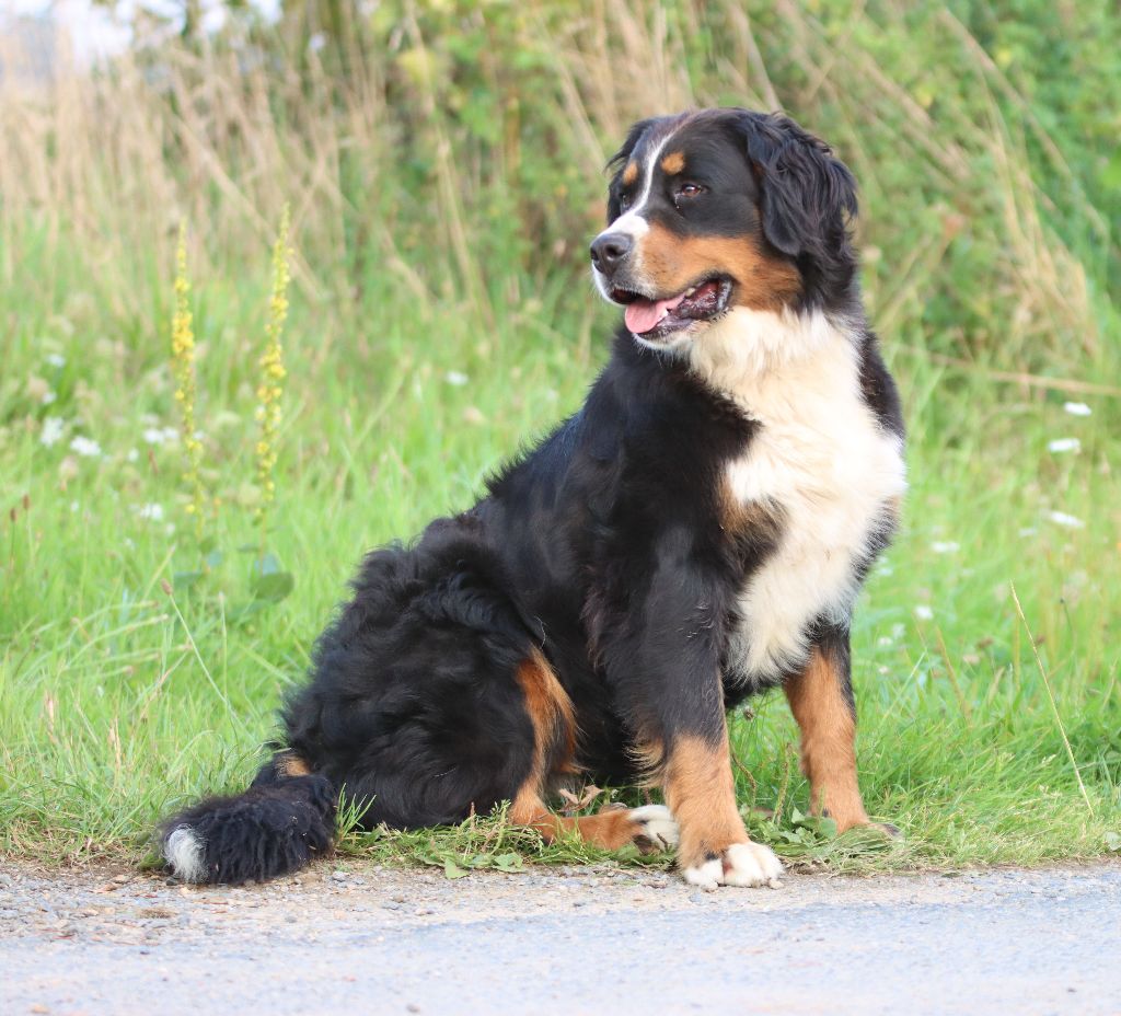 Publication : (Sans Affixe)