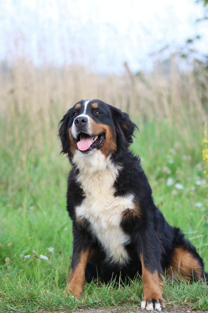 Publication : (Sans Affixe)