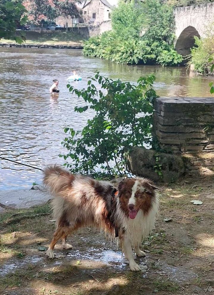 Publication : Des Highlands Du Sud