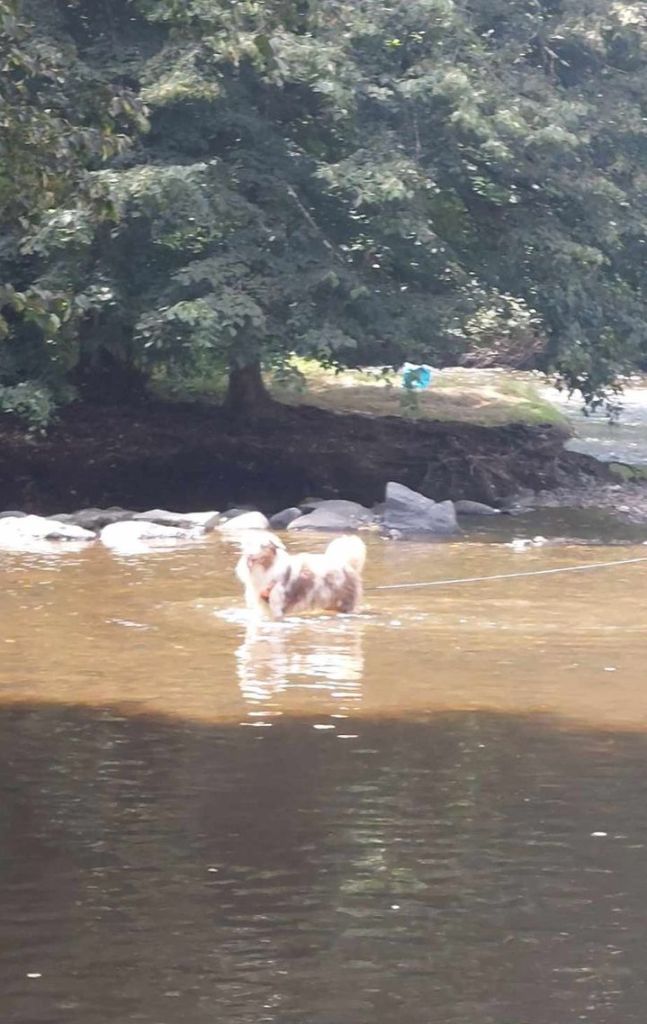 Publication : Des Highlands Du Sud