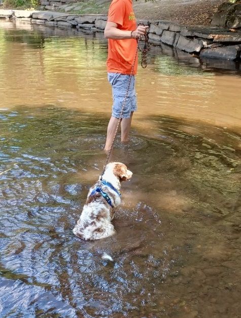 Publication : Des Highlands Du Sud