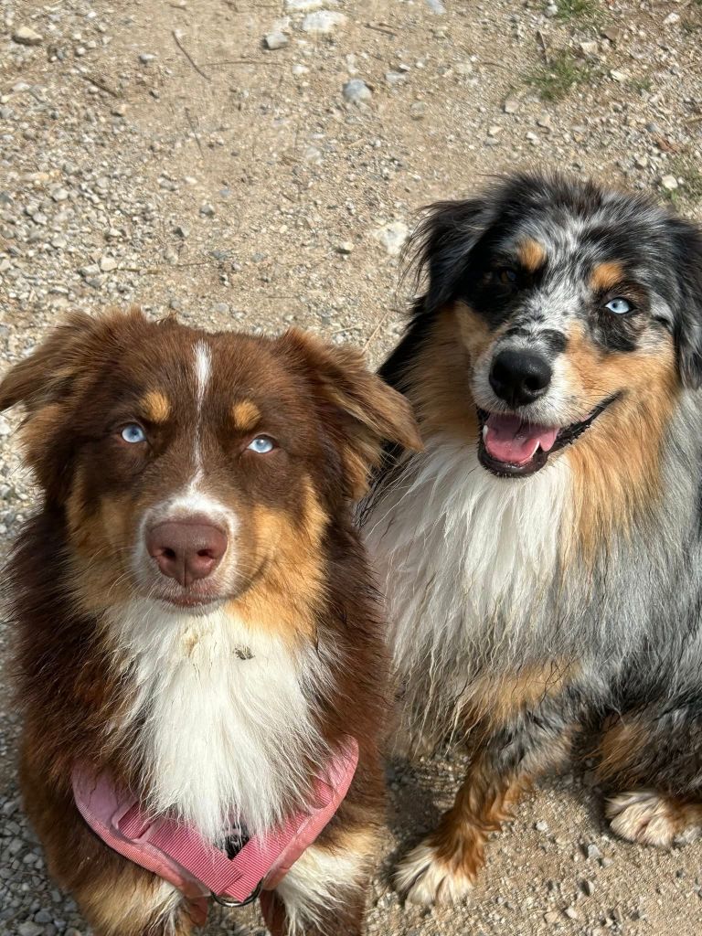 Seïko Des Highlands Du Sud