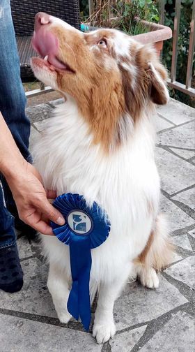 Publication : Des Highlands Du Sud