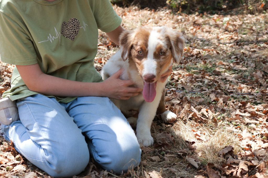 Publication : Des Highlands Du Sud