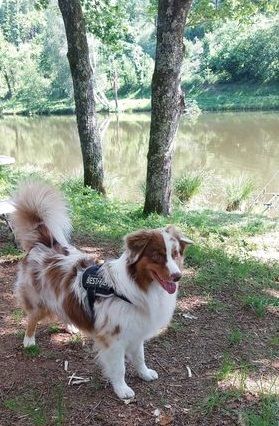 Publication : Des Highlands Du Sud