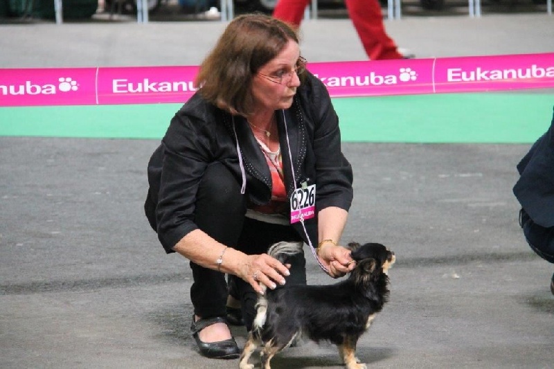 Publication : des Brault' Cadors