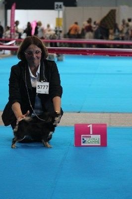 Publication : des Brault' Cadors