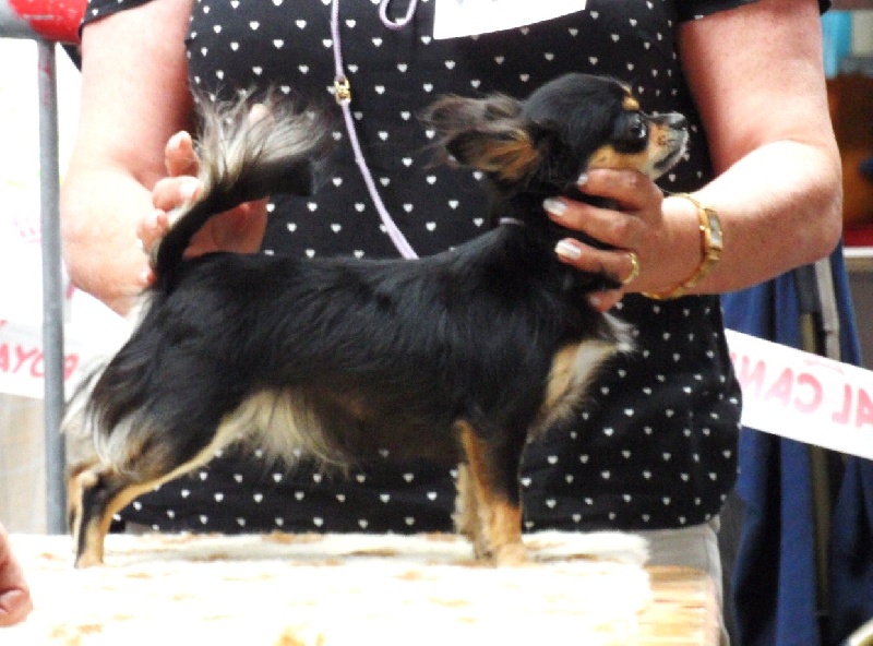 Ghostine du Paradis des P'tits Cracks - 3 ème exc