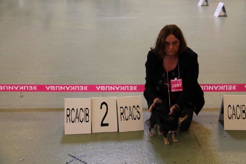 Ghostine du Paradis des P'tits Cracks - 1 ER EXC RACS RCACIB